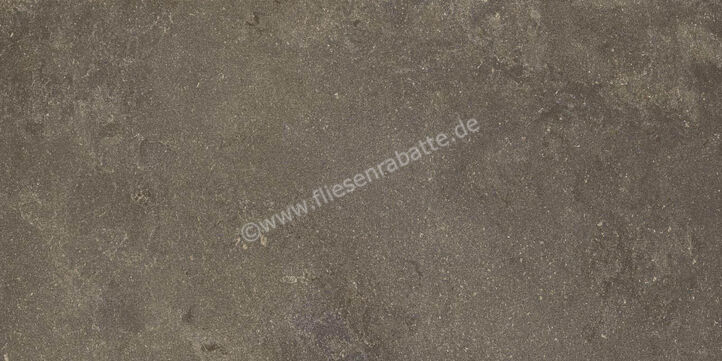 Ragno Realstone_Lunar Uniform 60x120 cm Bodenfliese / Wandfliese Matt Eben Naturale R7AX | 495809