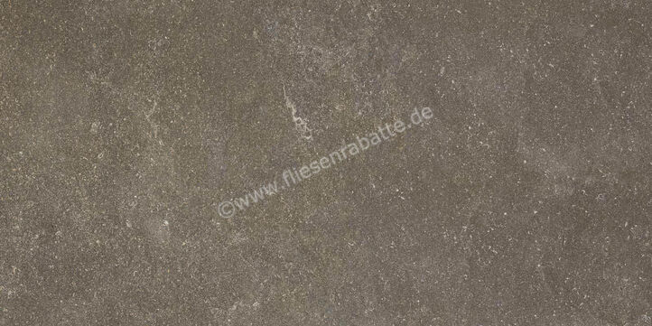 Ragno Realstone_Lunar Uniform 60x120 cm Bodenfliese / Wandfliese Matt Eben Naturale R7AX | 495815