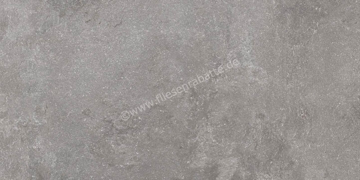  Ragno Realstone_Lunar Silver 60x120 cm Bodenfliese / Wandfliese Matt Eben Naturale R7AT | 495893