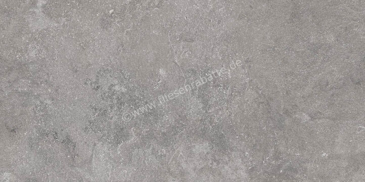  Ragno Realstone_Lunar Silver 60x120 cm Bodenfliese / Wandfliese Matt Eben Naturale R7AT | 495896