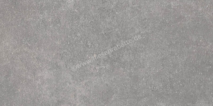  Ragno Realstone_Lunar Silver 60x120 cm Bodenfliese / Wandfliese Matt Eben Naturale R7AT | 495899