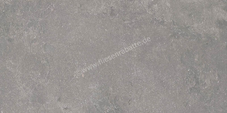  Ragno Realstone_Lunar Silver 60x120 cm Bodenfliese / Wandfliese Matt Eben Naturale R7AT | 495905