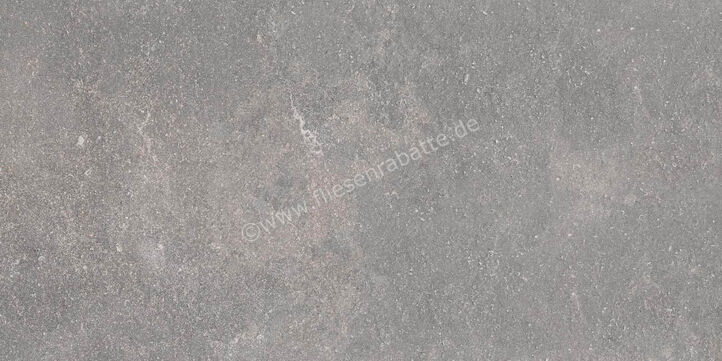  Ragno Realstone_Lunar Silver 60x120 cm Bodenfliese / Wandfliese Matt Eben Naturale R7AT | 495911