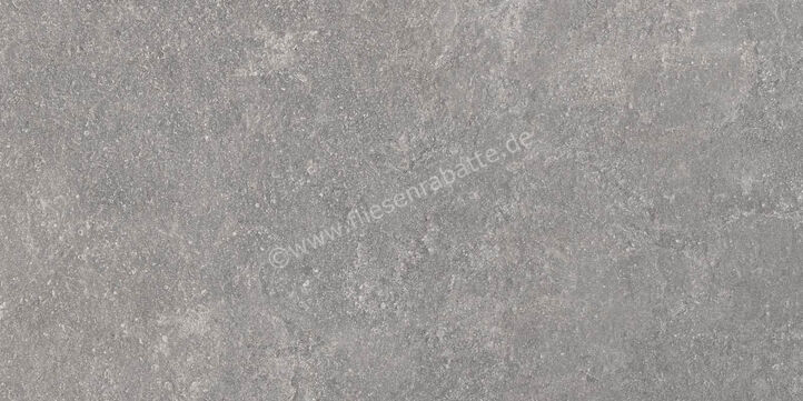  Ragno Realstone_Lunar Silver 60x120 cm Bodenfliese / Wandfliese Matt Eben Naturale R7AT | 495914