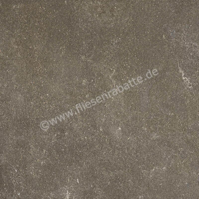  Ragno Realstone_Lunar Uniform 75x75 cm Bodenfliese / Wandfliese Matt Eben Naturale R7AR | 495935