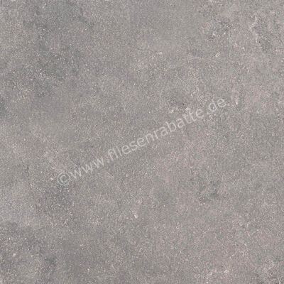 Ragno Realstone_Lunar Silver 75x75 cm Bodenfliese / Wandfliese Matt Eben Naturale R7AM | 496028