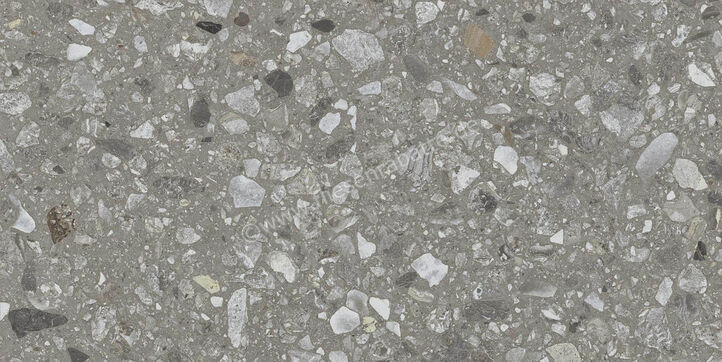 Ragno Realstone_Navigli Naturale 30x60 cm Bodenfliese / Wandfliese Matt Eben Naturale R7JX | 496265
