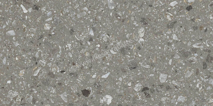 Ragno Realstone_Navigli Naturale 30x60 cm Bodenfliese / Wandfliese Matt Eben Naturale R7JX | 496268