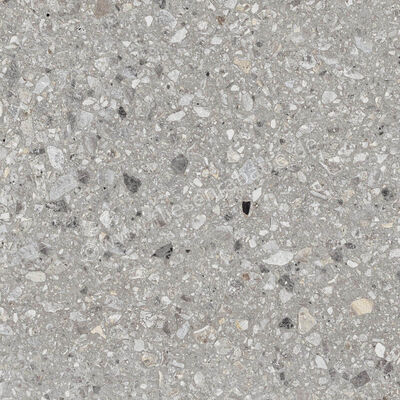 Ragno Realstone_Navigli Grigio 60x60 cm Bodenfliese / Wandfliese Matt Eben Naturale R7JT | 496358