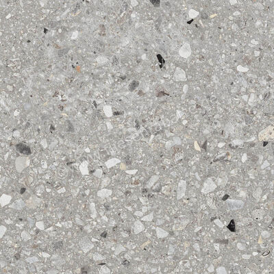 Ragno Realstone_Navigli Grigio 60x60 cm Bodenfliese / Wandfliese Matt Eben Naturale R7JT | 496364