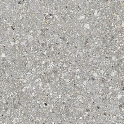 Ragno Realstone_Navigli Grigio 60x60 cm Bodenfliese / Wandfliese Matt Eben Naturale R7JT | 496376