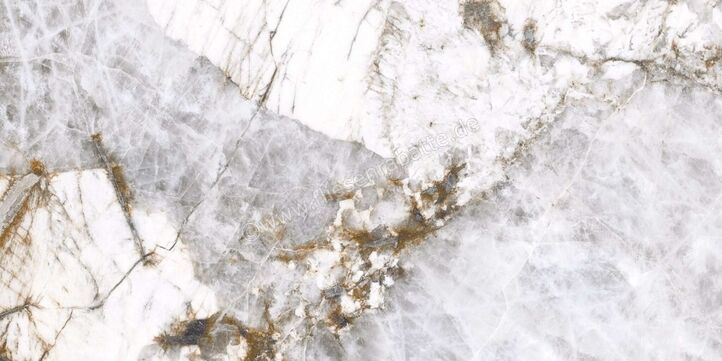 Agrob Buchtal Stone Concept Patagonia 30x60 cm Wandfliese Glänzend Eben Naturale 203526 | 499718