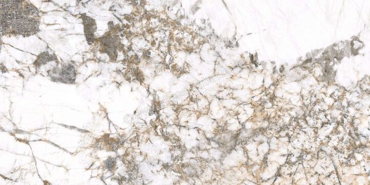 Agrob Buchtal Stone Concept Patagonia 30x60 cm Wandfliese Glänzend Eben Naturale 203526 | 499727