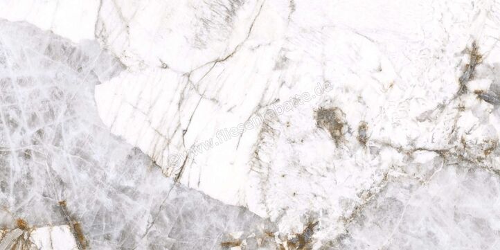 Agrob Buchtal Stone Concept Patagonia 30x60 cm Wandfliese Glänzend Eben Naturale 203526 | 499733