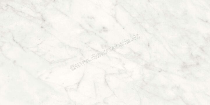 Agrob Buchtal Stone Concept Carrara Bianco 30x60 cm Wandfliese Glänzend Eben Naturale 203516 | 499754