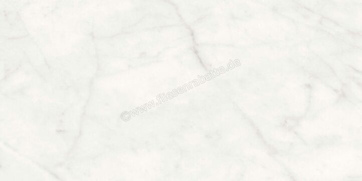 Agrob Buchtal Stone Concept Carrara Bianco 30x60 cm Wandfliese Glänzend Eben Naturale 203516 | 499757