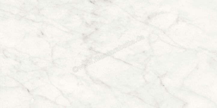 Agrob Buchtal Stone Concept Carrara Bianco 30x60 cm Wandfliese Glänzend Eben Naturale 203516 | 499760