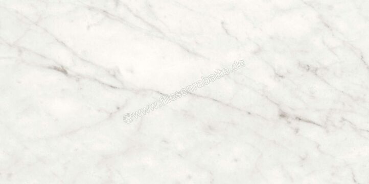 Agrob Buchtal Stone Concept Carrara Bianco 30x60 cm Wandfliese Glänzend Eben Naturale 203516 | 499763