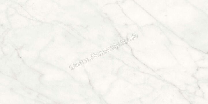 Agrob Buchtal Stone Concept Carrara Bianco 30x60 cm Wandfliese Glänzend Eben Naturale 203516 | 499769