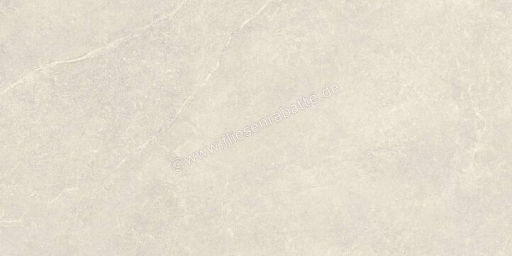  Agrob Buchtal Stone Concept Silk Stone Kieselgrau 30x60 cm Wandfliese Glänzend Eben Naturale 203518 | 499844