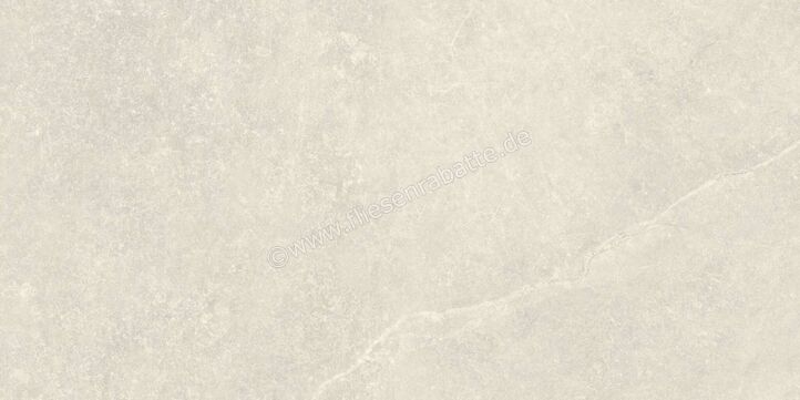  Agrob Buchtal Stone Concept Silk Stone Kieselgrau 30x60 cm Wandfliese Glänzend Eben Naturale 203518 | 499847