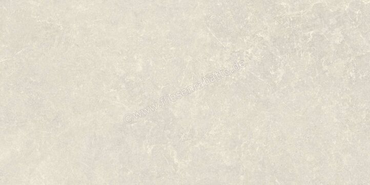  Agrob Buchtal Stone Concept Silk Stone Kieselgrau 30x60 cm Wandfliese Glänzend Eben Naturale 203518 | 499850