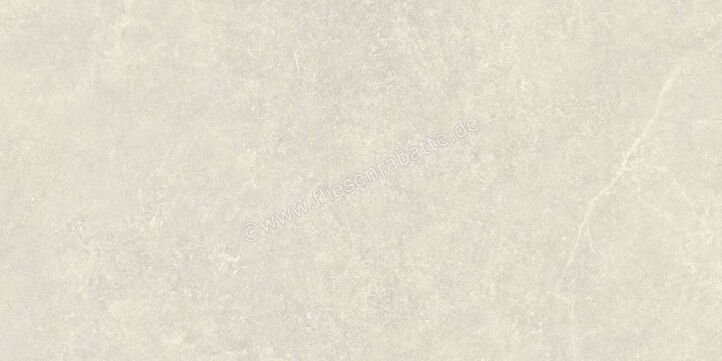  Agrob Buchtal Stone Concept Silk Stone Kieselgrau 30x60 cm Wandfliese Glänzend Eben Naturale 203518 | 499853