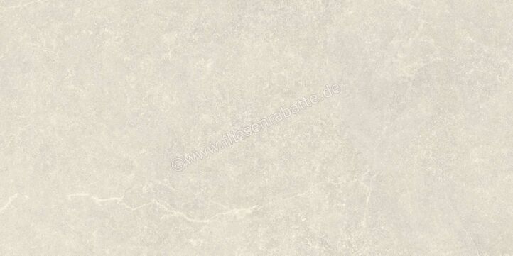  Agrob Buchtal Stone Concept Silk Stone Kieselgrau 30x60 cm Wandfliese Glänzend Eben Naturale 203518 | 499856
