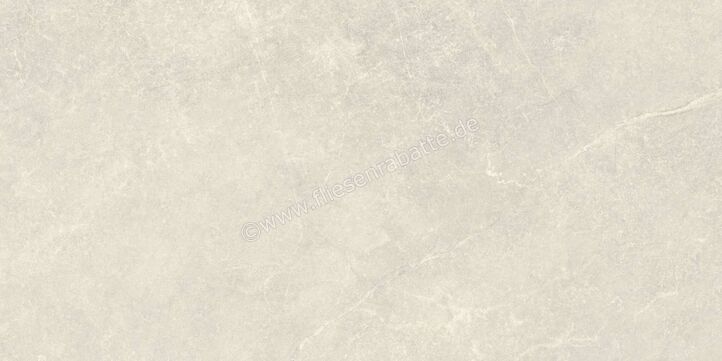  Agrob Buchtal Stone Concept Silk Stone Kieselgrau 30x60 cm Wandfliese Glänzend Eben Naturale 203518 | 499859