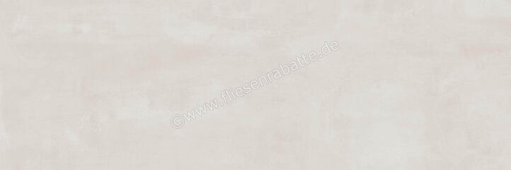  Ragno Resina Grigio 40x120 cm Wandfliese Matt Eben Naturale R79V | 506248