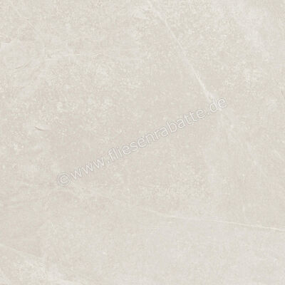 Ragno Realstone_Slate Ice 60x60 cm Bodenfliese / Wandfliese Matt Strukturiert Naturale R5ZF | 507019