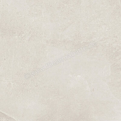 Ragno Realstone_Slate Ice 60x60 cm Bodenfliese / Wandfliese Matt Strukturiert Naturale R5ZF | 507028