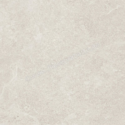 Ragno Realstone_Slate Ice 60x60 cm Bodenfliese / Wandfliese Matt Strukturiert Naturale R5ZF | 507031