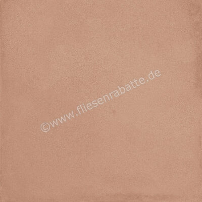  Ragno Amuri Cotto 20x20 cm Bodenfliese / Wandfliese Matt Eben Naturale RC7C | 509032