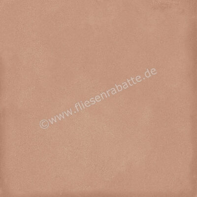  Ragno Amuri Cotto 20x20 cm Bodenfliese / Wandfliese Matt Eben Naturale RC7C | 509035
