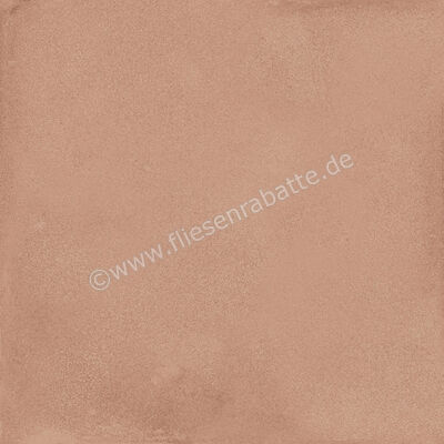  Ragno Amuri Cotto 20x20 cm Bodenfliese / Wandfliese Matt Eben Naturale RC7C | 509041
