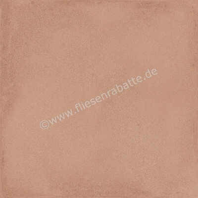  Ragno Amuri Cotto 20x20 cm Bodenfliese / Wandfliese Matt Eben Naturale RC7C | 509044
