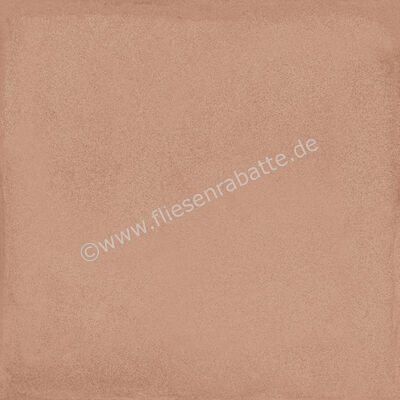  Ragno Amuri Cotto 20x20 cm Bodenfliese / Wandfliese Matt Eben Naturale RC7C | 509047