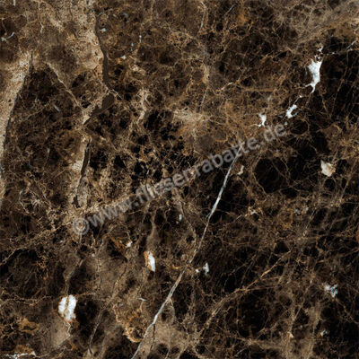  Ragno Incanto Emperador 60x60 cm Bodenfliese / Wandfliese Glänzend Eben Glossy R90F | 512284
