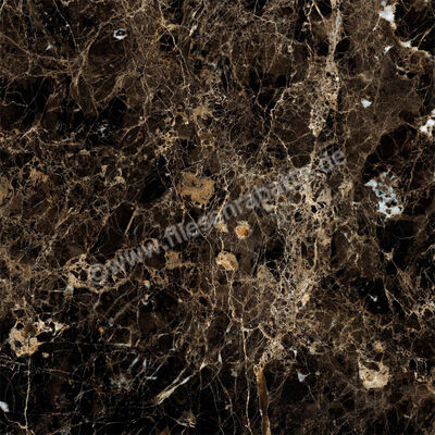  Ragno Incanto Emperador 60x60 cm Bodenfliese / Wandfliese Glänzend Eben Glossy R90F | 512290