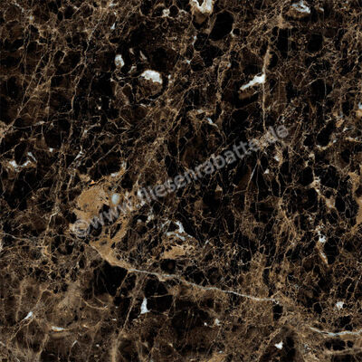  Ragno Incanto Emperador 60x60 cm Bodenfliese / Wandfliese Glänzend Eben Glossy R90F | 512293