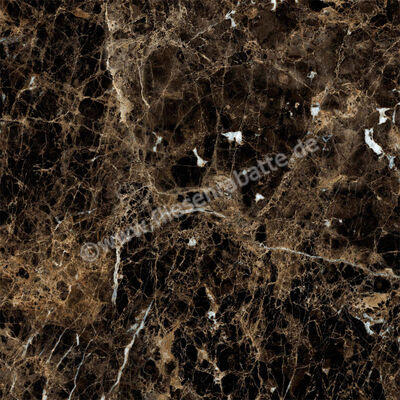  Ragno Incanto Emperador 60x60 cm Bodenfliese / Wandfliese Glänzend Eben Glossy R90F | 512305