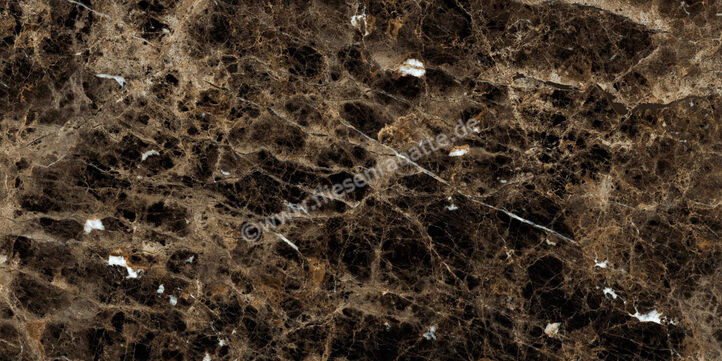  Ragno Incanto Emperador 60x120 cm Bodenfliese / Wandfliese Glänzend Eben Glossy R8TE | 514018