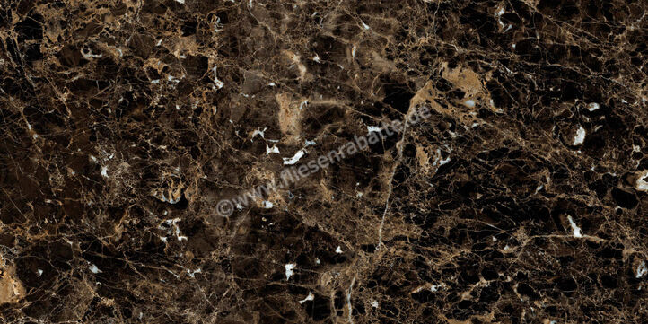  Ragno Incanto Emperador 60x120 cm Bodenfliese / Wandfliese Glänzend Eben Glossy R8TE | 514027