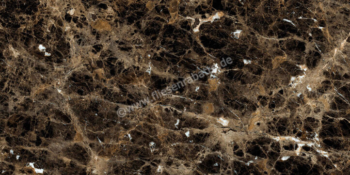  Ragno Incanto Emperador 60x120 cm Bodenfliese / Wandfliese Glänzend Eben Glossy R8TE | 514030