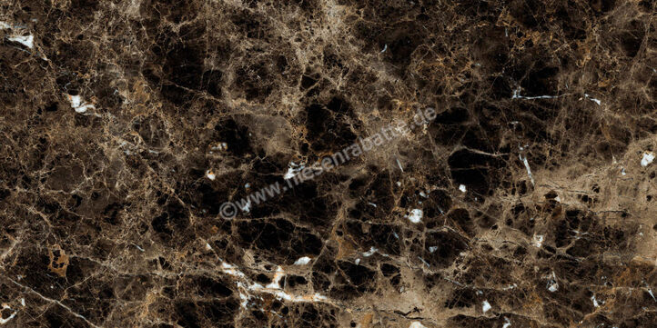  Ragno Incanto Emperador 60x120 cm Bodenfliese / Wandfliese Glänzend Eben Glossy R8TE | 514036
