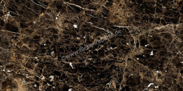 Ragno Incanto Emperador 60x120 cm Bodenfliese / Wandfliese Glänzend Eben Glossy R8TE | 514039