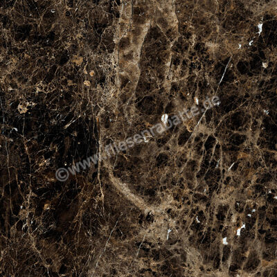  Ragno Incanto Emperador 120x120 cm Bodenfliese / Wandfliese Glänzend Eben Glossy R8SW | 514138