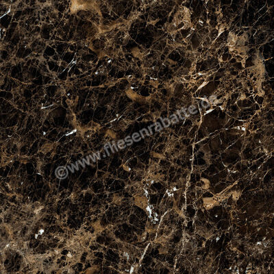  Ragno Incanto Emperador 120x120 cm Bodenfliese / Wandfliese Glänzend Eben Glossy R8SW | 514141