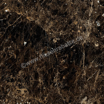  Ragno Incanto Emperador 120x120 cm Bodenfliese / Wandfliese Glänzend Eben Glossy R8SW | 514144